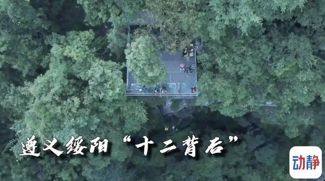去年重庆有127人被终生禁驾,最大年龄66岁