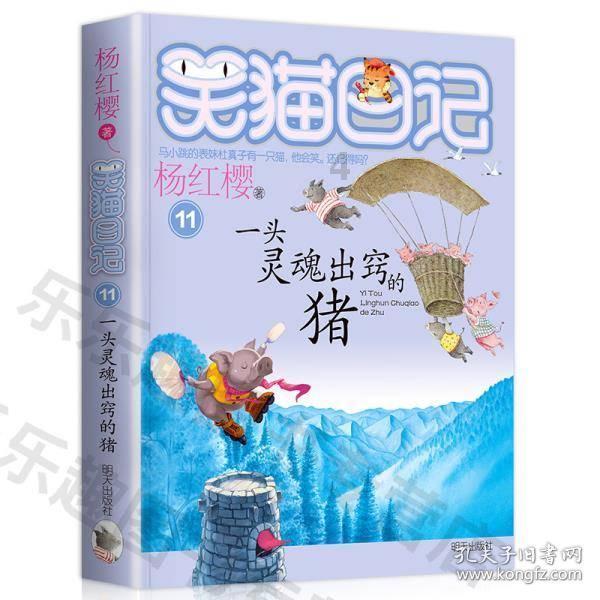 【基层单元】人勤春来早，选举正当时！桥墩镇人大谋划新年“第一事”