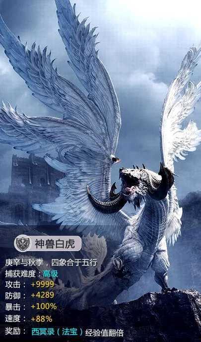 她让小小蝴蝶兰开出“致富花”