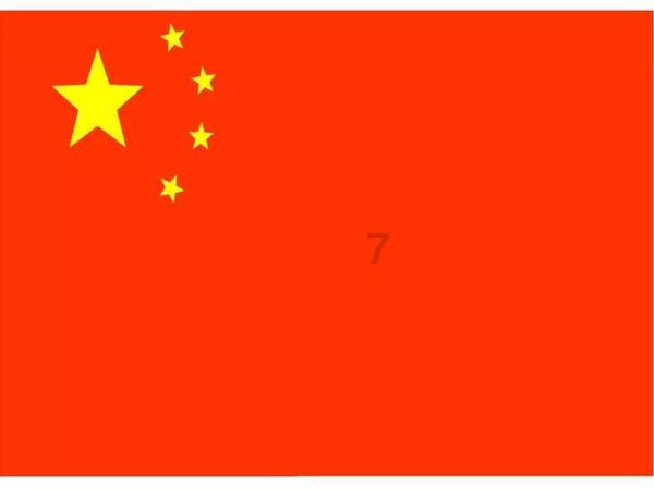 营救小猫头鹰