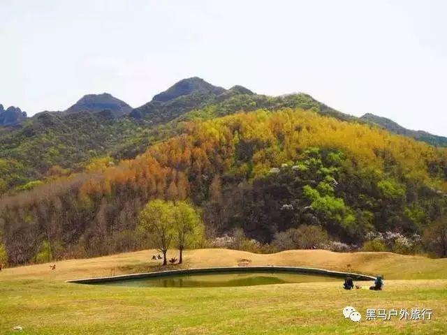率土之滨