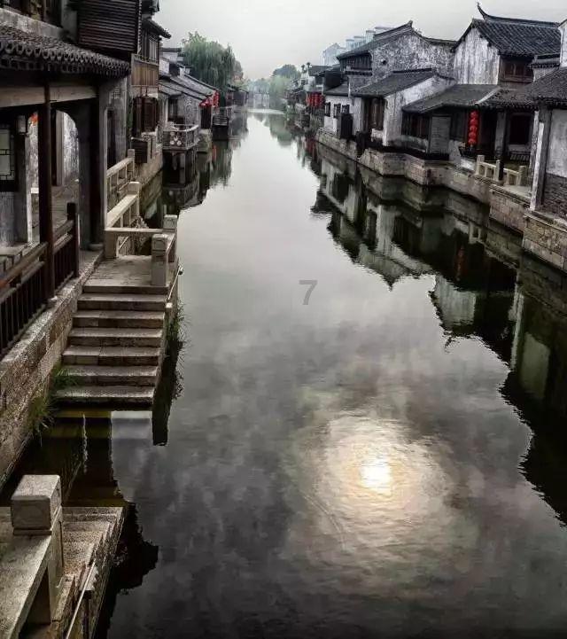 飞扬的独眼鸟